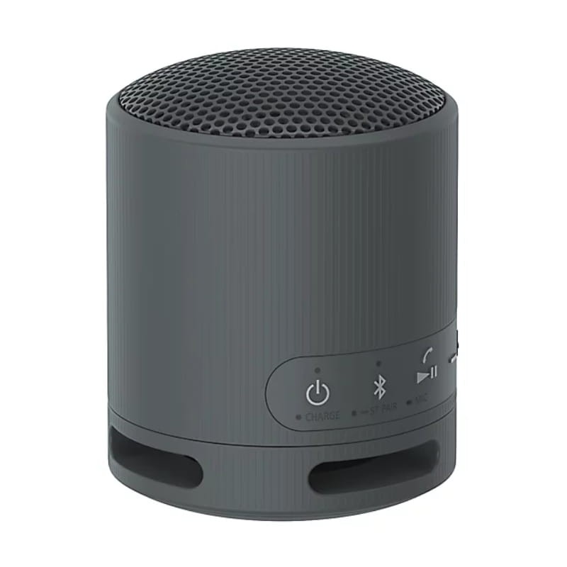 Sony SRS-XB100 Negro - Altavoz Bluetooth - Ítem1