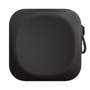 Sudio F2 20W Negro - Altavoz Bluetooth