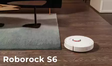 Roborock S6