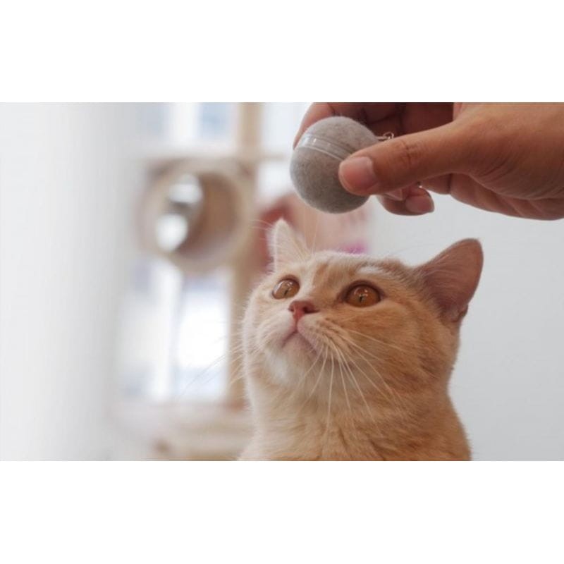 Cheerble M1 Balle interactive Gris pour chat - Jouet pour animaux de compagnie - Ítem4