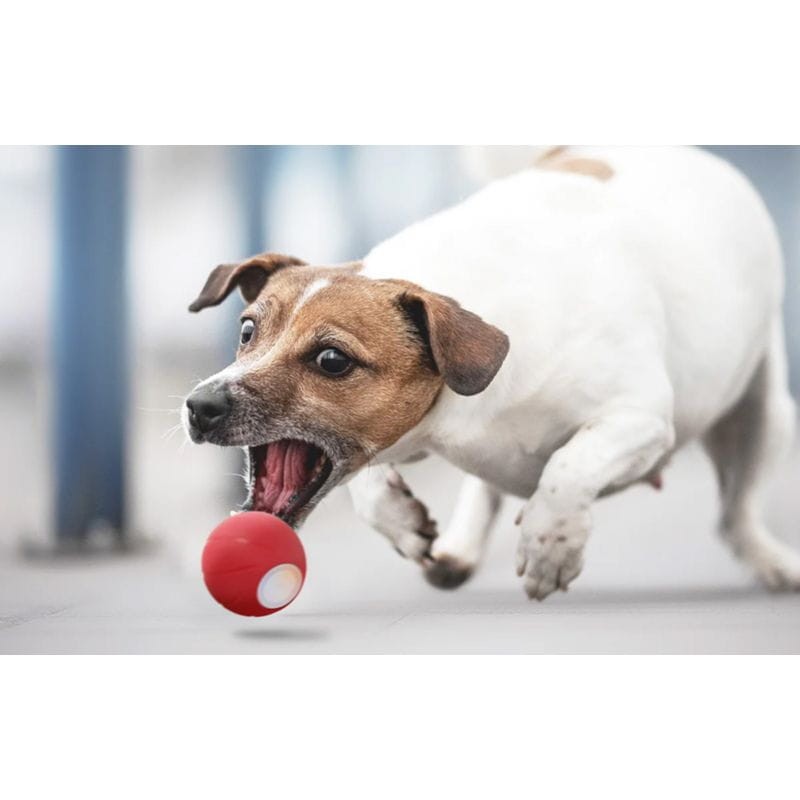 Pelota interactiva Cheerble Wicked Ball SE Roja - Juguete para mascotas - Ítem4