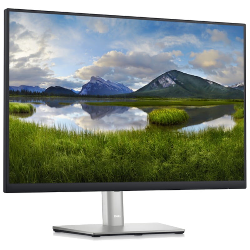 Dell P Series P2423 24 WUXGA IPS Negro - Monitor PC - Ítem1