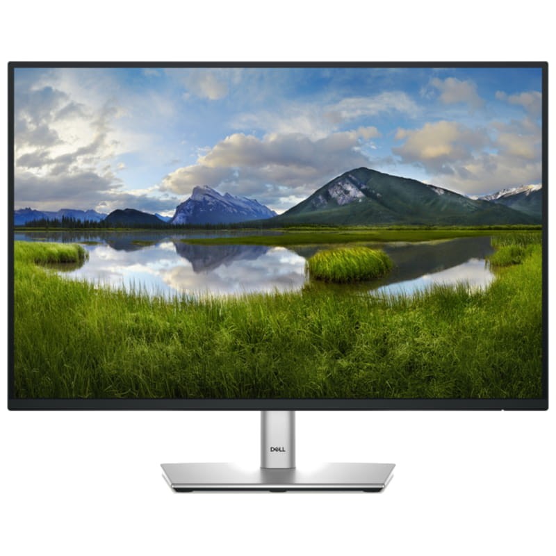 DELL P Series P2425 24.1 WUXGA IPS 100 Hz Preto - Monitor para PC - Item