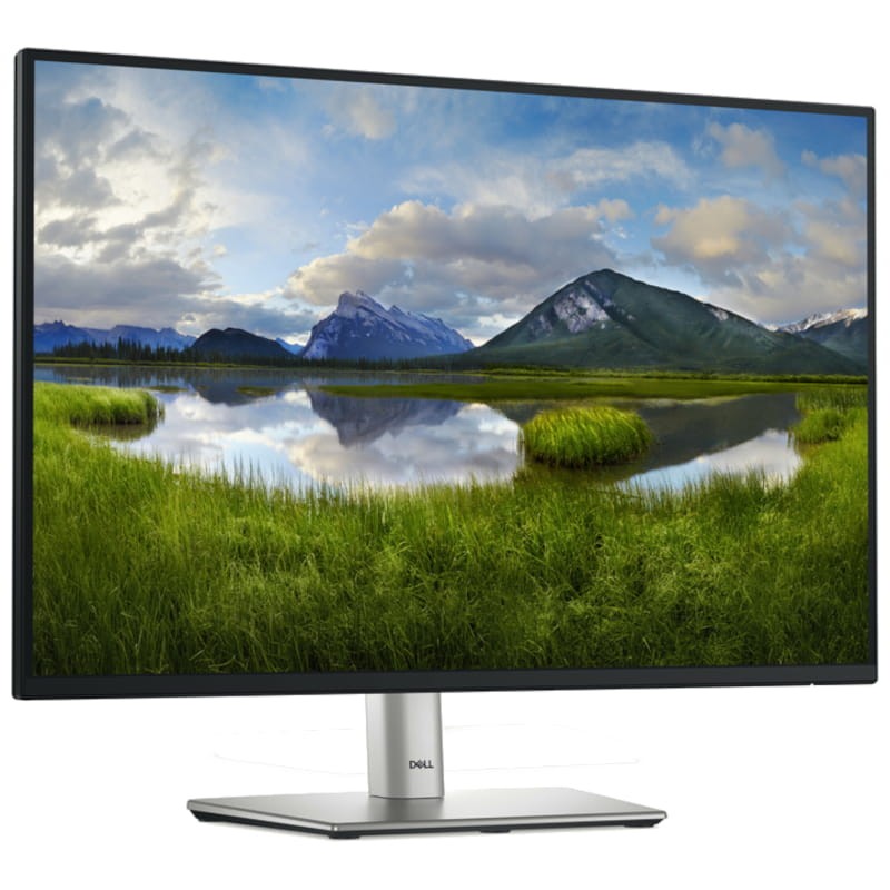 DELL P Series P2425 24.1 WUXGA IPS Noir - Moniteur PC - Ítem1