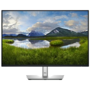 DELL P Series P2425E 24.1 WUXGA IPS USB-C Negro - Monitor PC