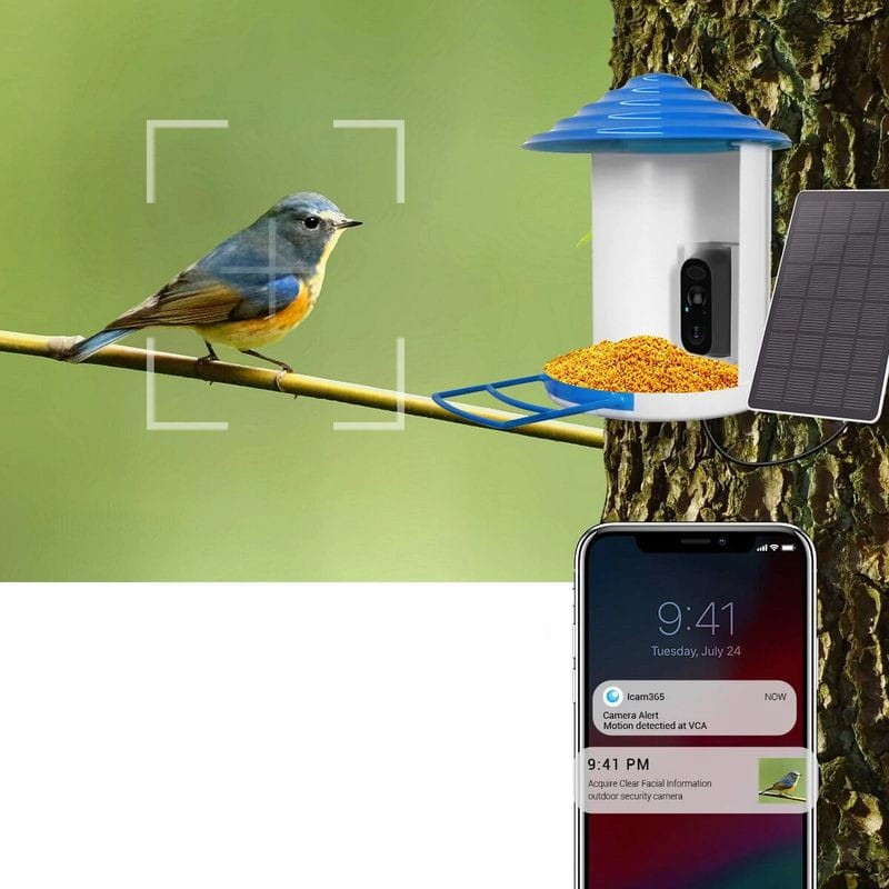 Mangeoire à oiseaux avec caméra, maison d'oiseaux, panneau solaire