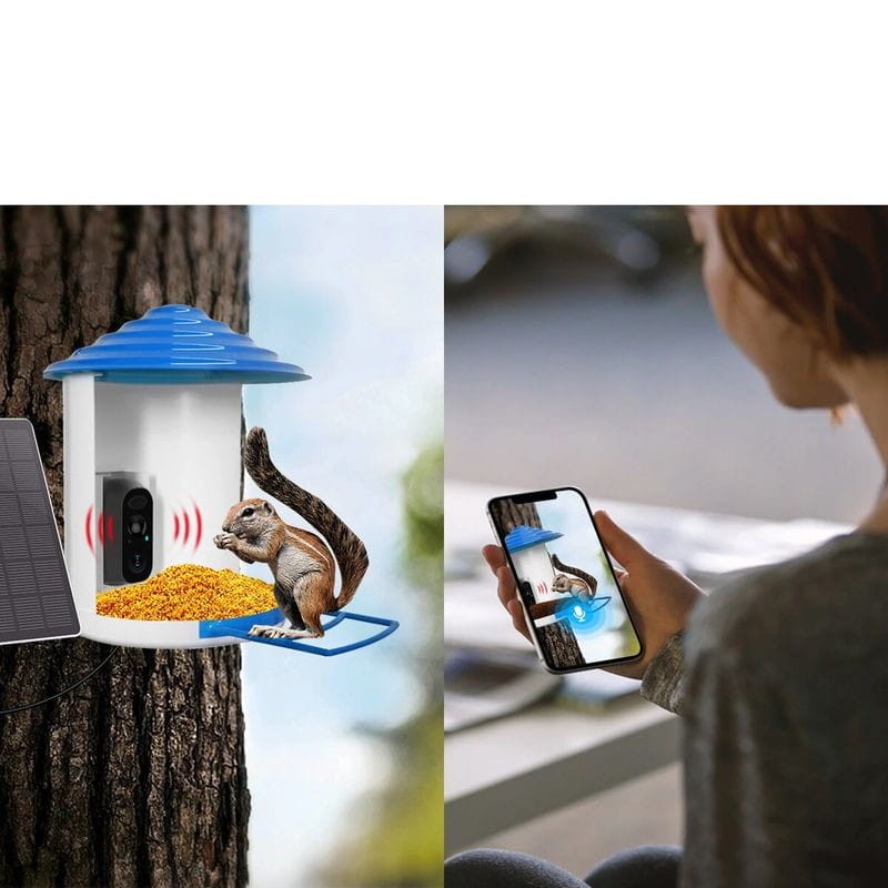 Mangeoire à oiseaux avec caméra Full HD connectée solaire, Tout pour  l'animal