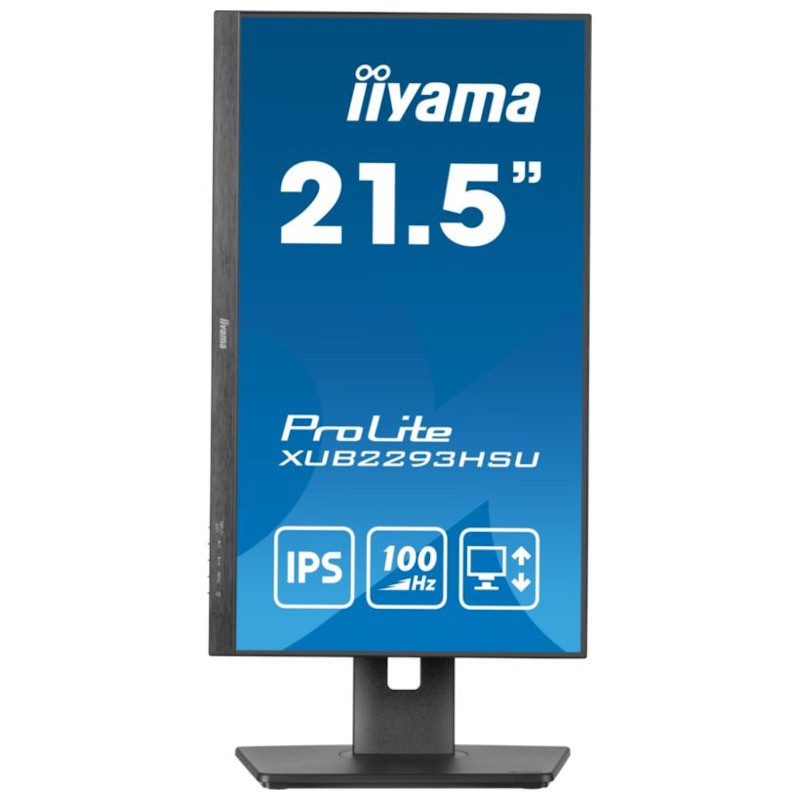 Iiyama ProLite XUB2293HSU-B6 21.5 FullHD IPS 100 Hz Adaptative FreeSync Preto - Monitor PC - Item7