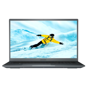 Medion Akoya E17223/Intel Celeron N100/4GB/128GB/W11 Gris - Ordinateur portable 17.3