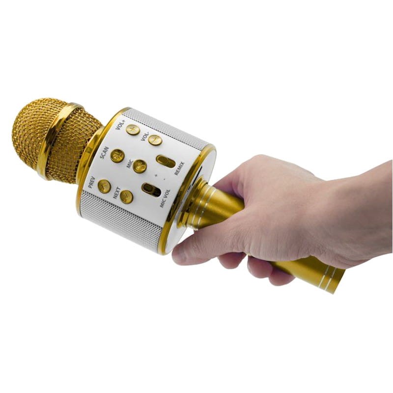 Nevlers Mockins - Micrófono de karaoke Bluetooth dorado para niños con  micrófono Bluetooth integrado, altavoz inalámbrico, micrófono inalámbrico