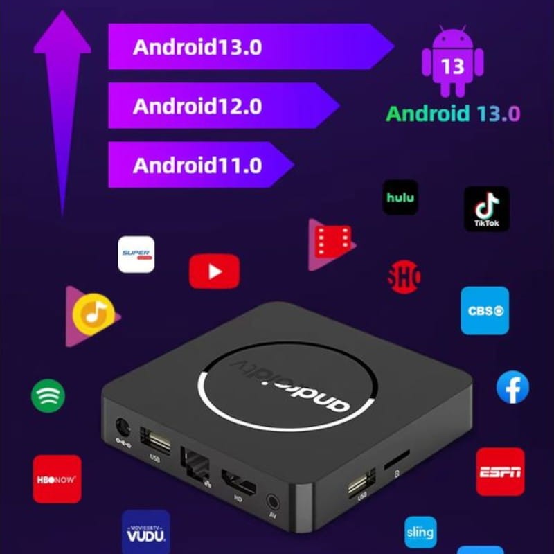 Q1 ATV H313 8K 2 Go/16 Go Android 13 Noir - Android TV - Ítem14