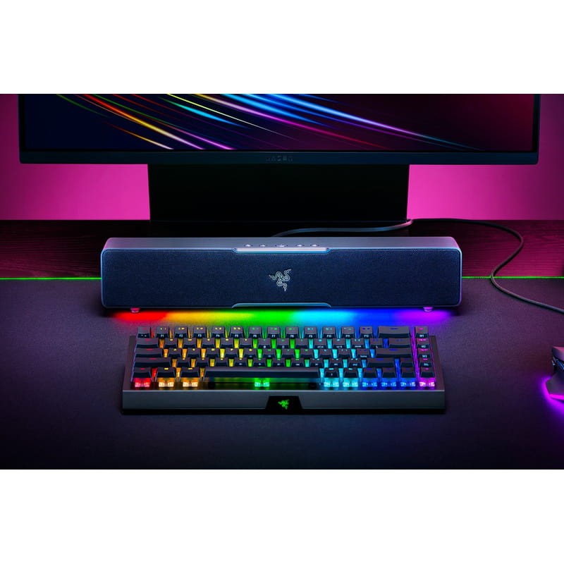 Razer Leviathan V2 X 65 W RGB Negro - Barra de sonido - Ítem4